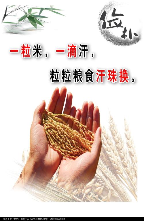 马里昂技术学院 Business diploma